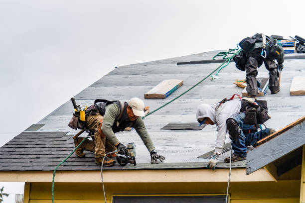 Professional Storm Damage Roof Repair technician working in Benwood, WV